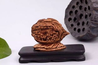 山東工藝美術(shù)學(xué)院研培學(xué)員在創(chuàng)新產(chǎn)品設(shè)計大獎賽中喜獲佳績 電腦動畫設(shè)計創(chuàng)意綻放